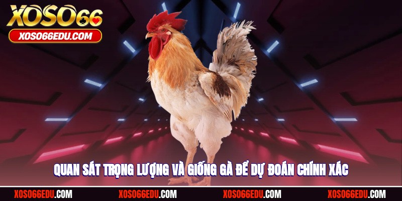 Quan sát trọng lượng và giống gà để dự đoán chính xác
